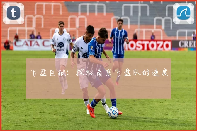 飞盘巨献：探秘南京飞盘队的速度