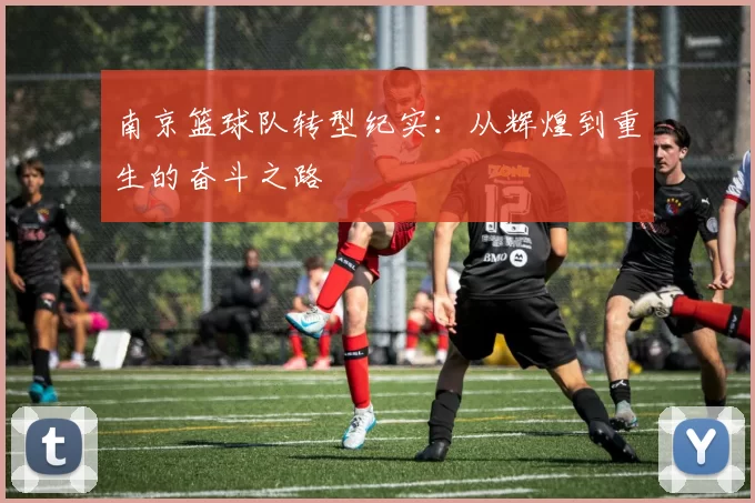 南京篮球队转型纪实：从辉煌到重生的奋斗之路