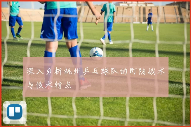 深入分析杭州乒乓球队的盯防战术与技术特点