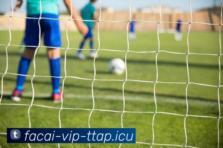 乐鱼体育注册服务体系